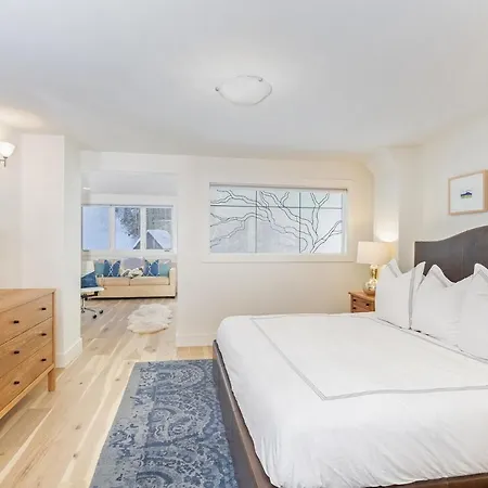 Remodel For 2022! Ski In Ski Out Parking *