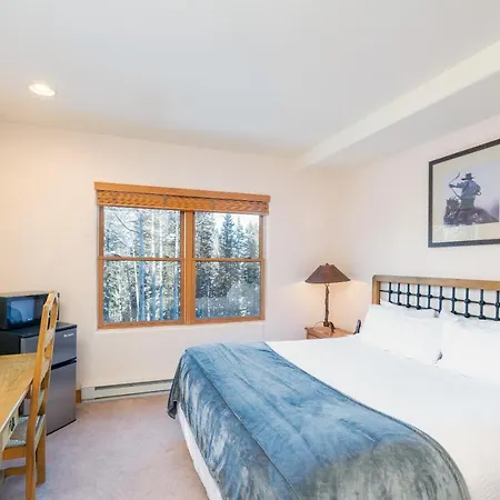 Bear Creek 208 By Alpine Telluride