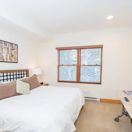 Apartment Bear Creek 203 By Alpine Telluride