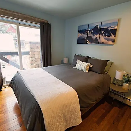 Apartment In/ski Out; On Town Free Bus Loop, Hot Tub!