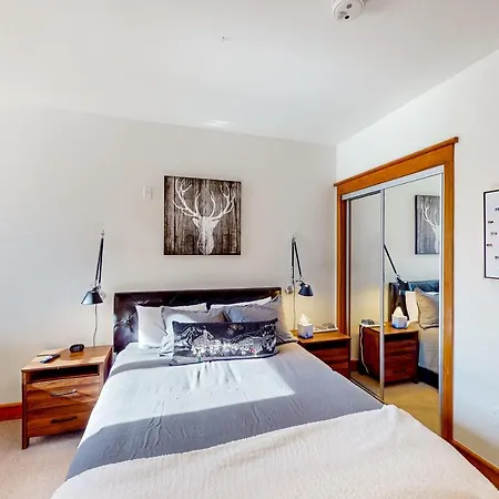 Palmyra 4e Apartment Telluride