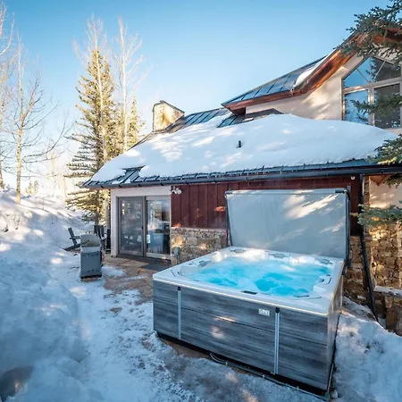 Winterleaf Holiday home Telluride