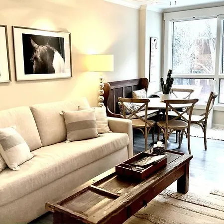 Designer Unit -center Of Town Of Telluride, Steps To Gondola And Town Park *