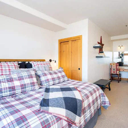 Bear Creek 408 By Alpine Apartment Telluride