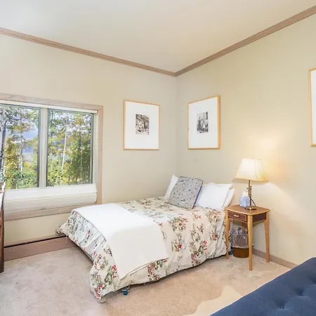 Holiday home In Out Village Creek In The Mountain Village Core Telluride