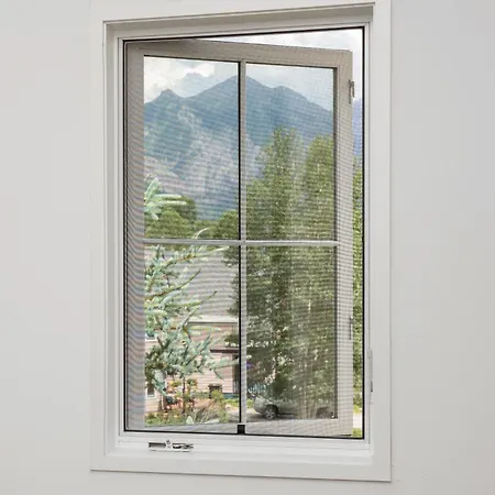 Will Brand New Mountain Contemporary *