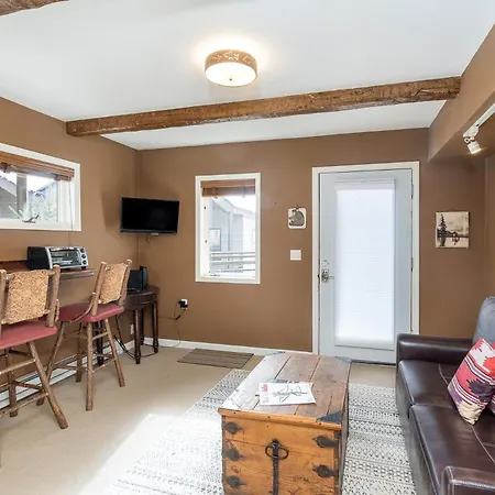 Trip Value! Walk Everywhere, Hot Tub, Floor Apartment Telluride