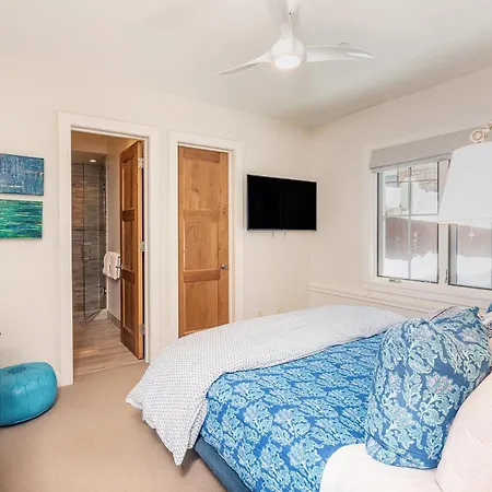 330 W Pacific B Townhouse Telluride