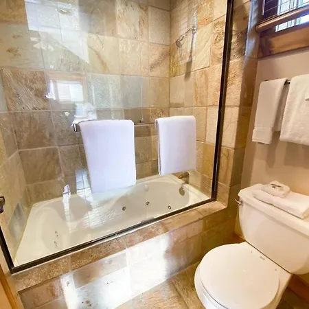 2 Bedroom Condominium - Luxury Skiin And Out - On River To Telluride