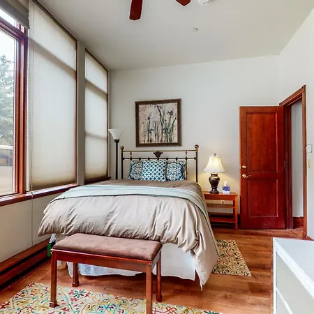 Ballard South 207 - Ballard Day Apartment Telluride