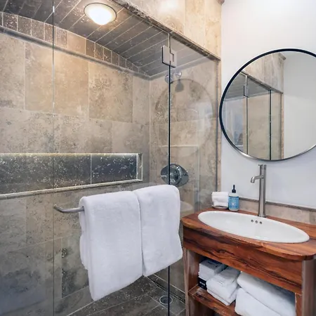 323 Apartment Telluride