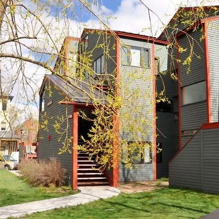 538 Telluride