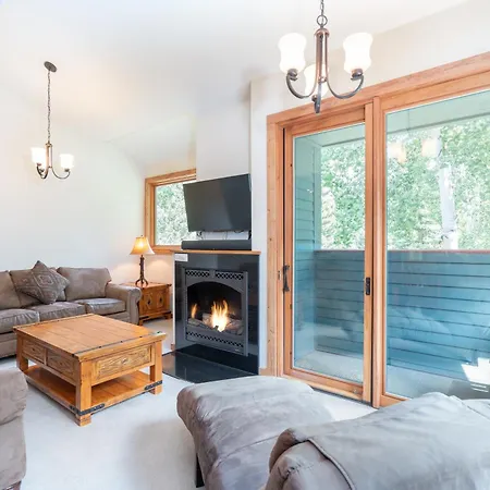 536 Apartment Telluride