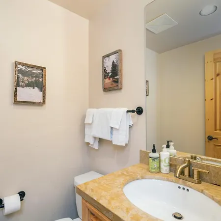 2br Ski-in, Ski-out Holiday home Telluride