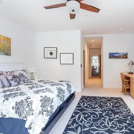 Willow 302 Apartment