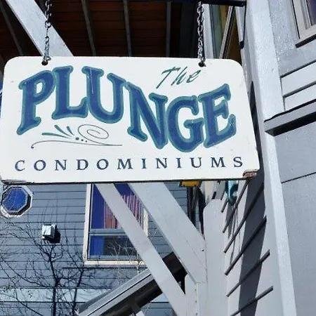 Plunge D Apartment Telluride