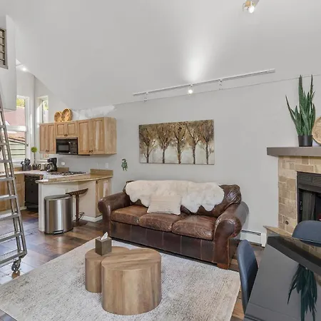 In Out Remodeled Luxury Holiday home Telluride