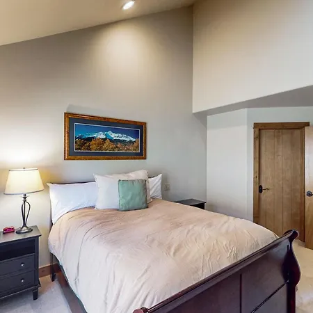 Terraces 502 Apartment Telluride
