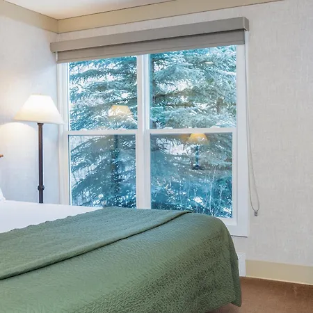 Hotel Mountainside 211 By Alpine *
