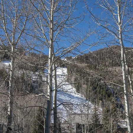 Apartment 329 Telluride