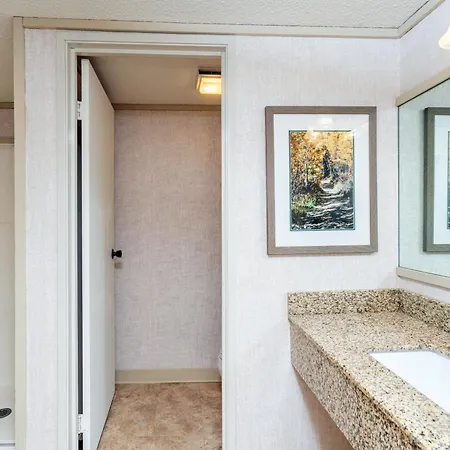 Hotel Mountainside 221 By Alpine