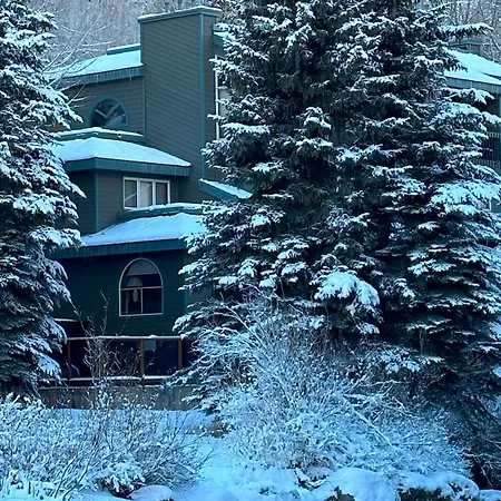 Apartment Riverside A103 By Exceptional Telluride