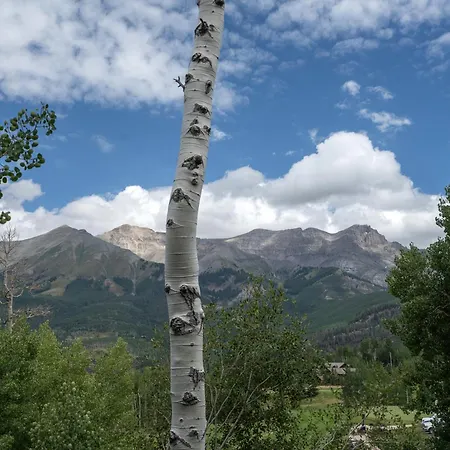 Palisade At Pine Meadows By Exceptional