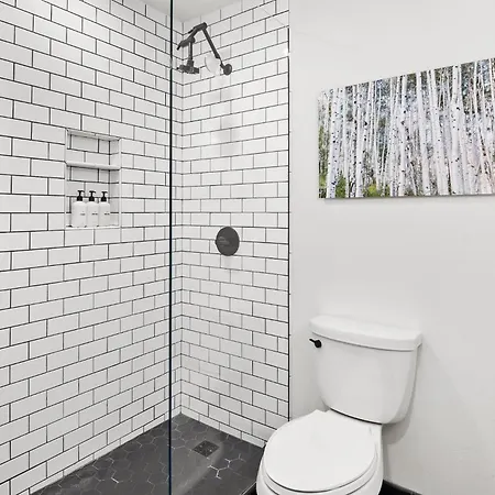 Floor With Balcony - Steps To Lifts & Main Street Apartment Telluride