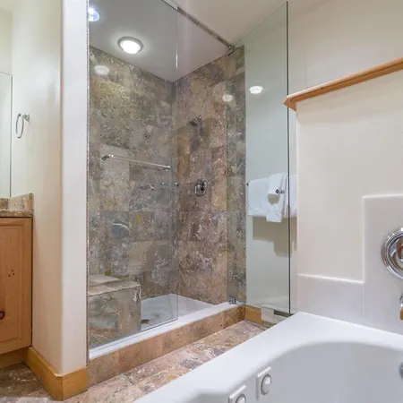 Bear Creek 301c Hotel Telluride
