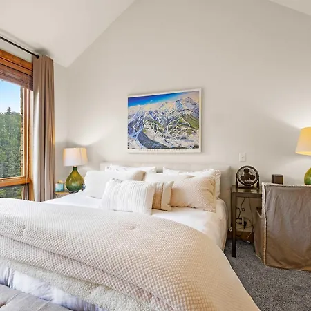 Upscale In Out 40 To Chondola Lift Holiday home Telluride