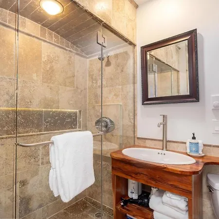 Unit 323 Telluride