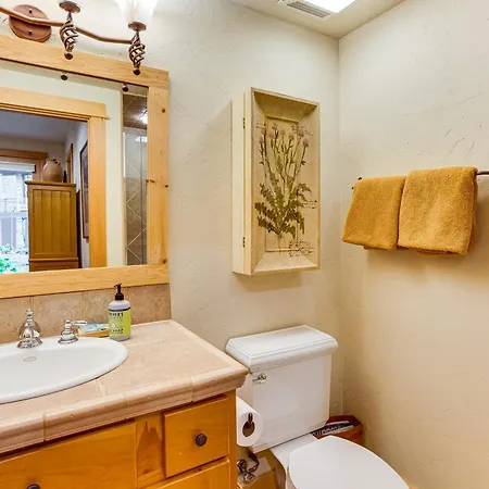 Stunning Views! Ski-in/out Mountain Village Holiday home Telluride