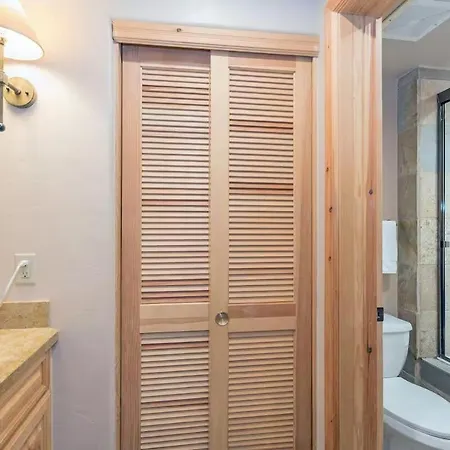 Mountain Village Getaway With Pool & Hot Tub Telluride