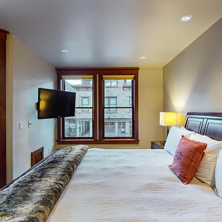 Ballard North 204 - Ballard Brown Bear Apartment Telluride