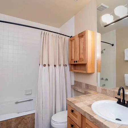 Viking 100ab Apartment Telluride