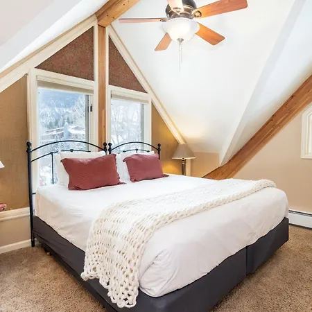 Apartment Viking 100ab Telluride