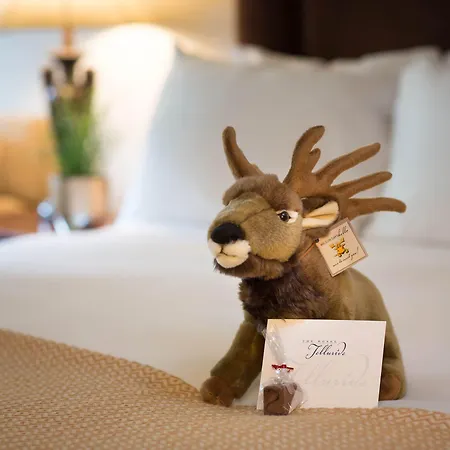 The Hotel 4*