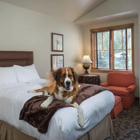 Hotel The 4*