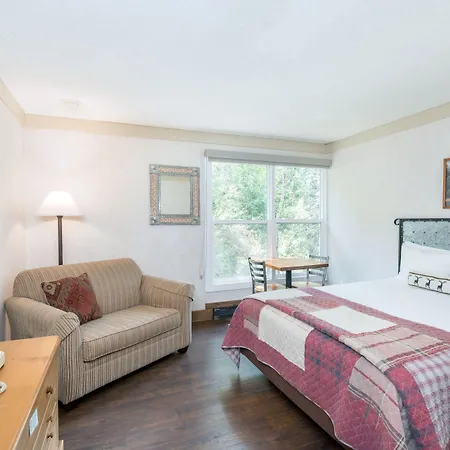 Hotel Mountainside 111 By Alpine Telluride