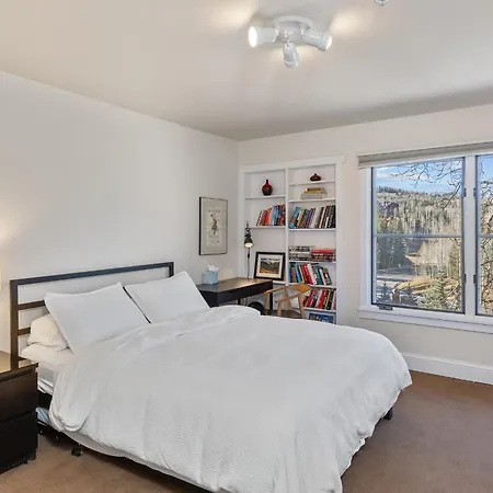 Apartment Blue Mesa 4 Liftside Hot Tub Access 3bd 2.5ba Sleeps 8 Telluride