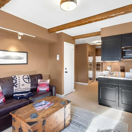Trip Value! Walk Everywhere, Hot Tub, Floor Apartment Telluride