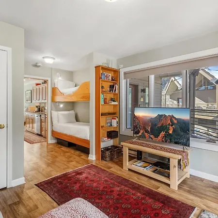 Viking 312 Apartment Telluride
