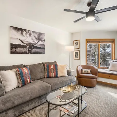 Riverfront, Blocks To - Mtn Views, Hot Tub At Viking 217 Apartment *