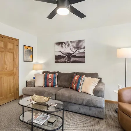 Apartment Riverfront, Blocks To - Mtn Views, Hot Tub At Viking 217 Telluride