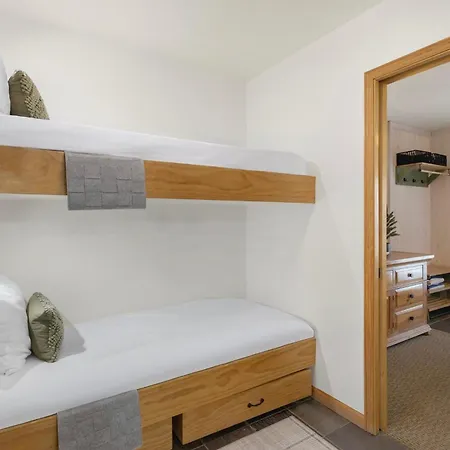 Riverfront, Blocks To - Mtn Views, Hot Tub At Viking 217 Apartment Telluride