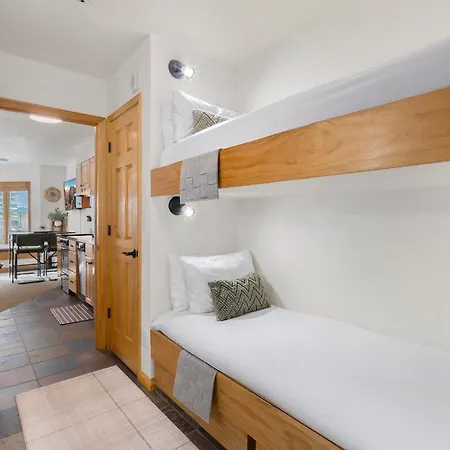 Riverfront, Blocks To - Mtn Views, Hot Tub At Viking 217 Apartment Telluride
