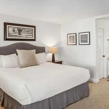 Mountain View Dream On River Trail - Hot Tub, Garage, Lift 7 In Out Apartment Telluride