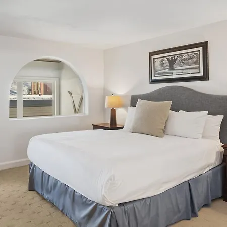 Apartment Mountain View Dream On River Trail - Hot Tub, Garage, Lift 7 In Out Telluride