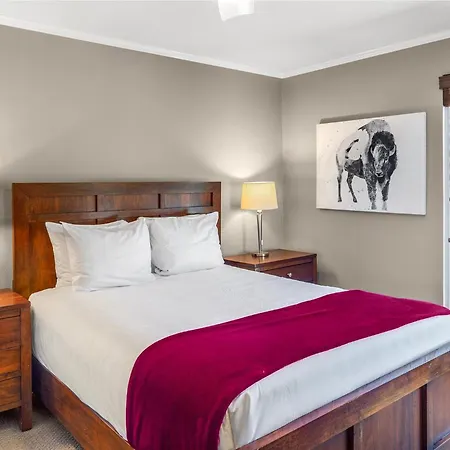 West End Winner - Hot Tub, Parking, Open Kitchen & Living Space * Telluride