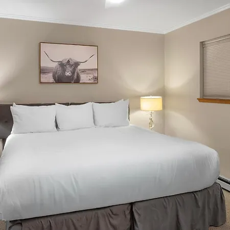 West End Winner - Hot Tub, Parking, Open Kitchen & Living Space Apartment Telluride